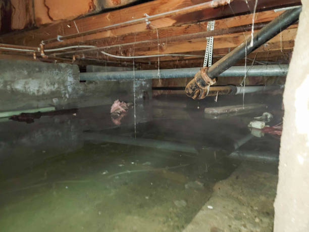 Best Carpet water damage restoration  in Bel Ridge, MO