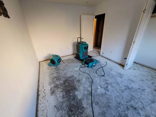 Best Flood restoration services  in Bel Ridge, MO