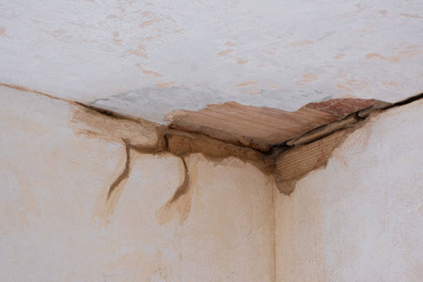 Best Water damage cleanup near me  in Bel Ridge, MO